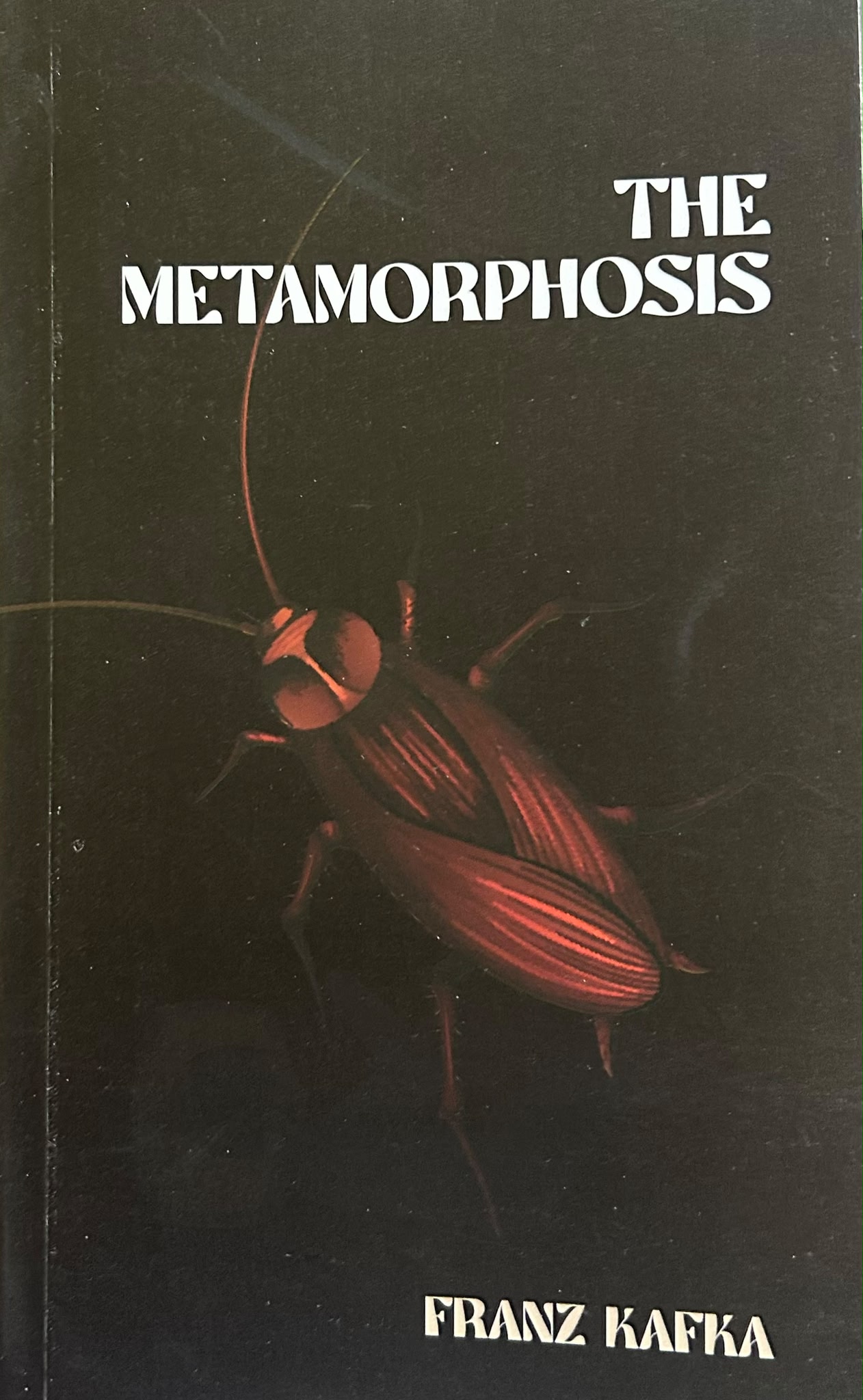 The Metamorphosis